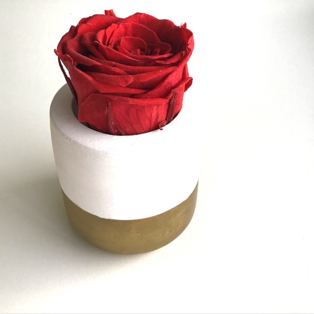 ❤️💕 Valentine - Forever Rose in White and Gold Concrete …